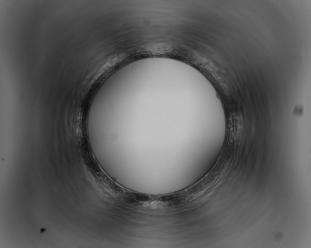 X0000098080212200804251521