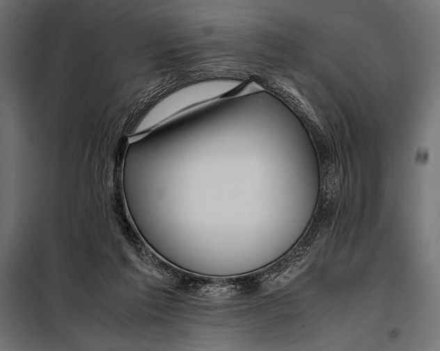 X0000098080213200804251521