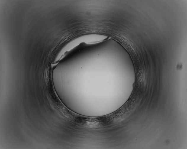 X0000098080214200804251521