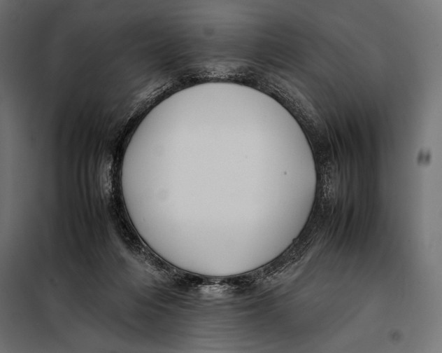 X0000098080216200804251521