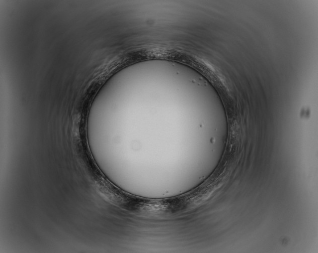 X0000098080217200804251521