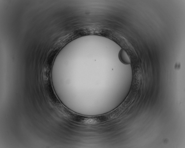 X0000098080218200804251521