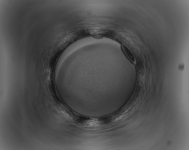 X0000098080219200804251521