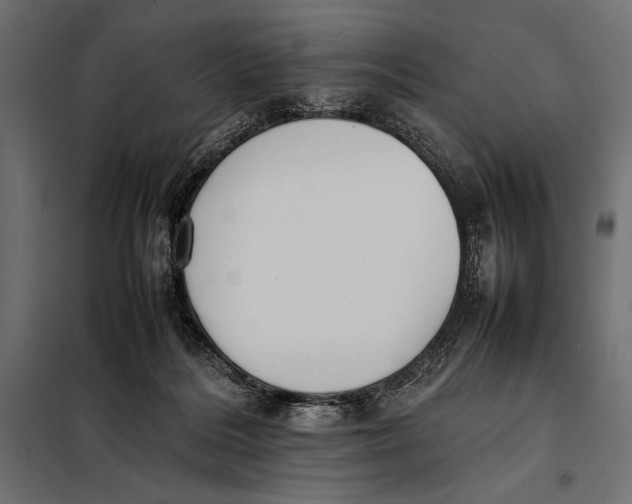 X0000098080220200804251521