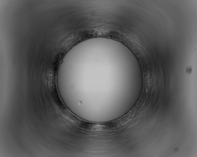 X0000098080222200804251521