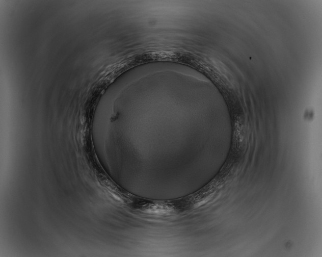 X0000098080223200804251521