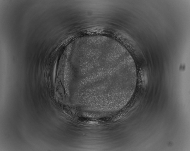 X0000098080224200804251521