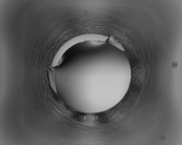 X0000098080225200804251521