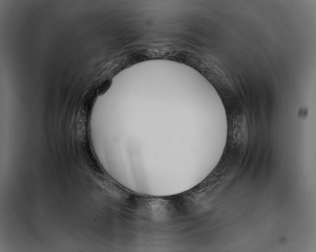 X0000098080226200804251521