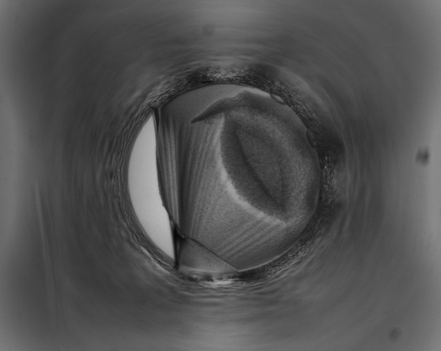 X0000098080227200804251521