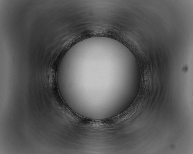 X0000098080228200804251521