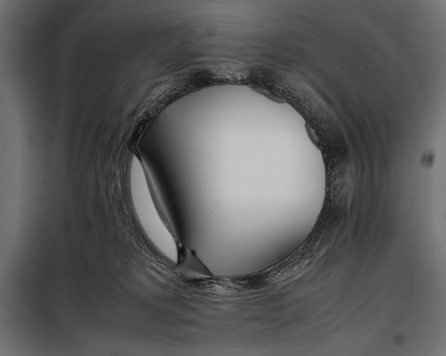 X0000098080229200804251520