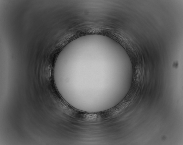 X0000098080230200804251520