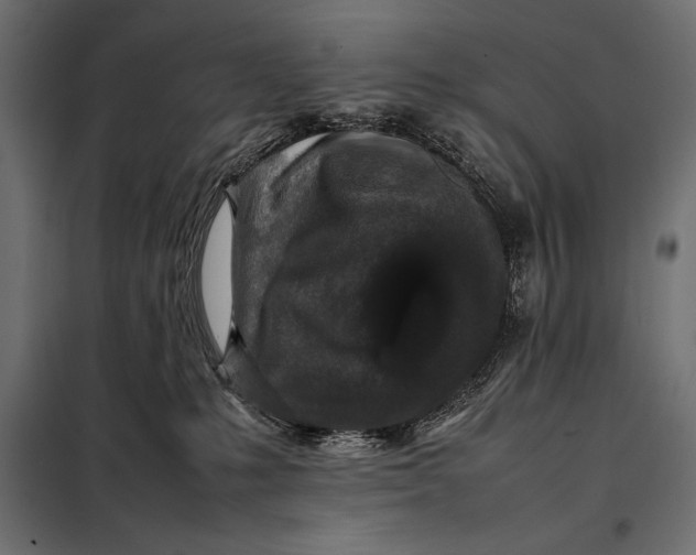 X0000098080231200804251520