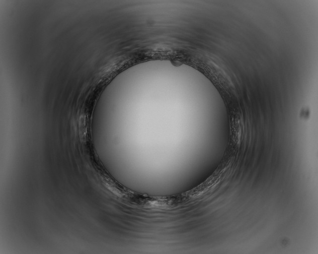 X0000098080232200804251520