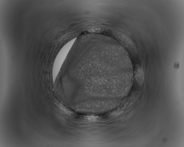 X0000098080233200804251520