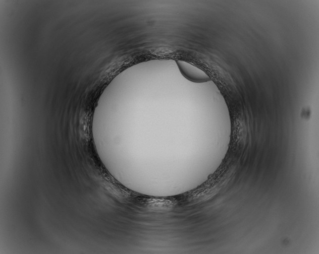 X0000098080234200804251520