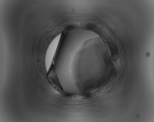 X0000098080235200804251520