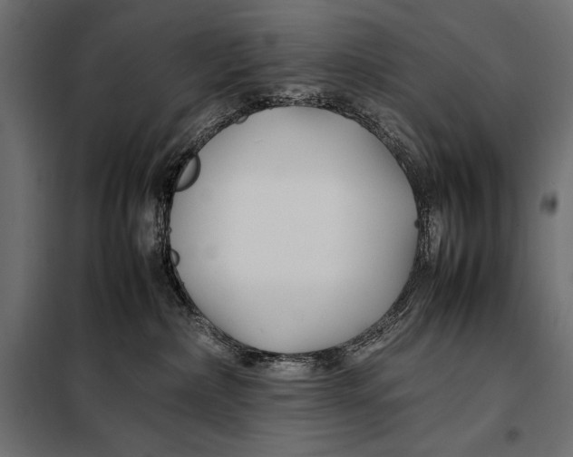 X0000098080236200804251520