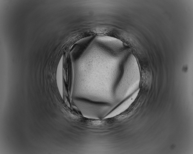 X0000098080237200804251520