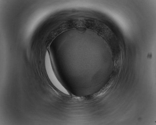 X0000098080239200804251520