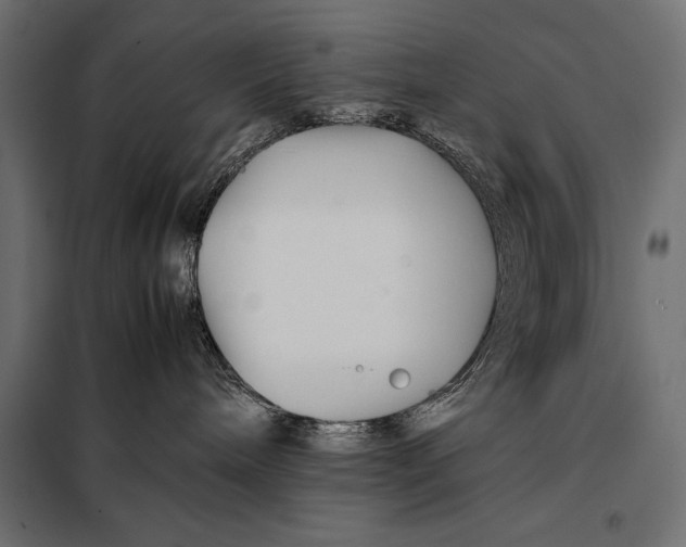 X0000098080240200804251520