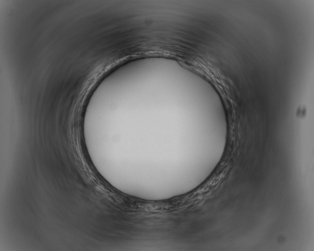 X0000098080241200804251519