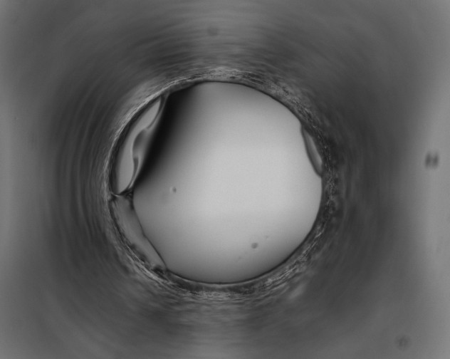 X0000098080242200804251519