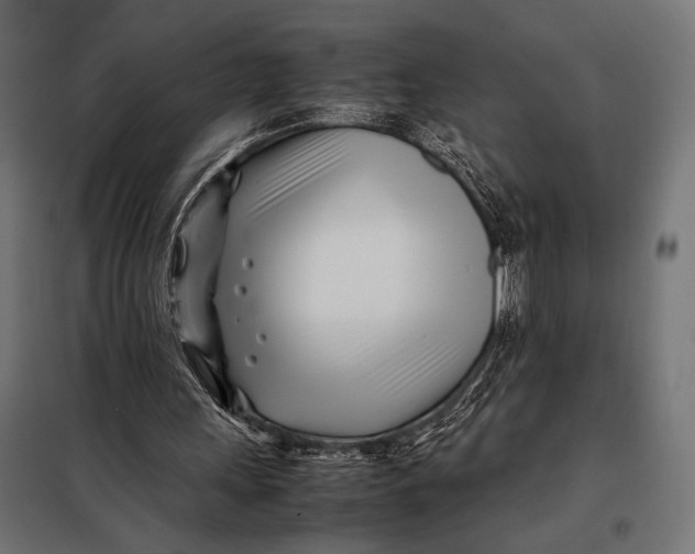 X0000098080243200804251520