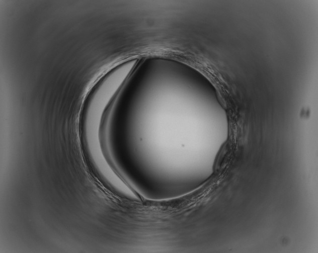 X0000098080244200804251520