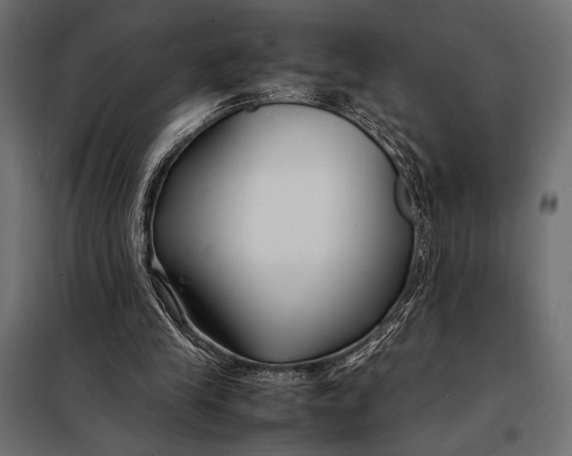 X0000098080245200804251520