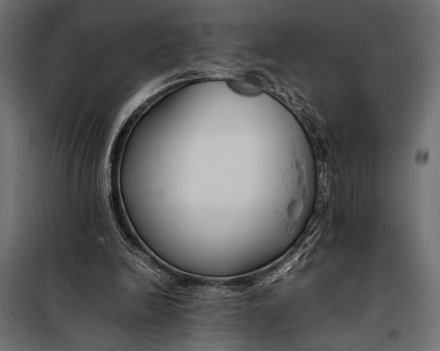 X0000098080246200804251520