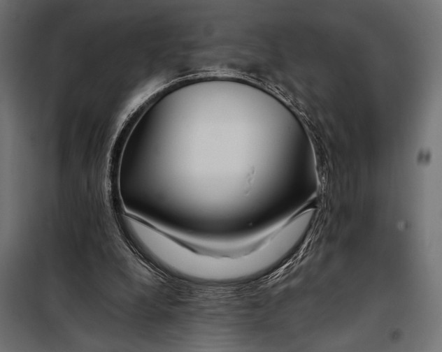 X0000098080248200804251520