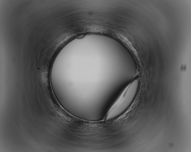 X0000098080249200804251520