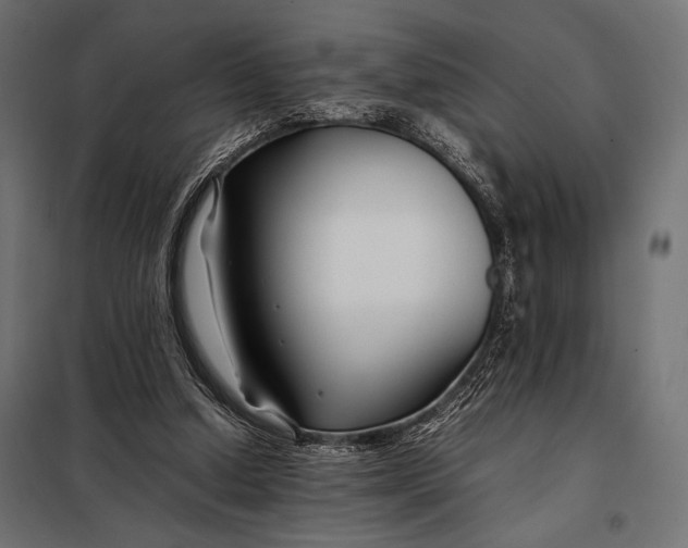 X0000098080250200804251520