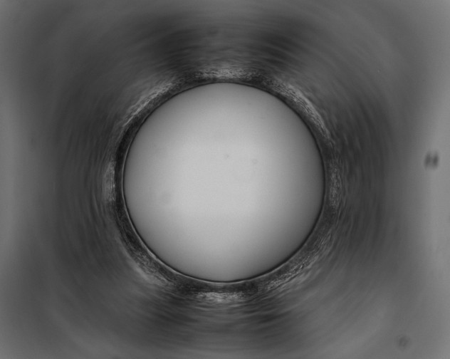 X0000098080251200804251520