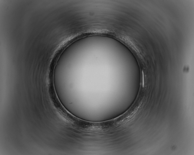 X0000098080252200804251520