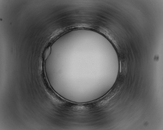 X0000098080253200804251520