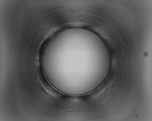 X0000098080254200804251520