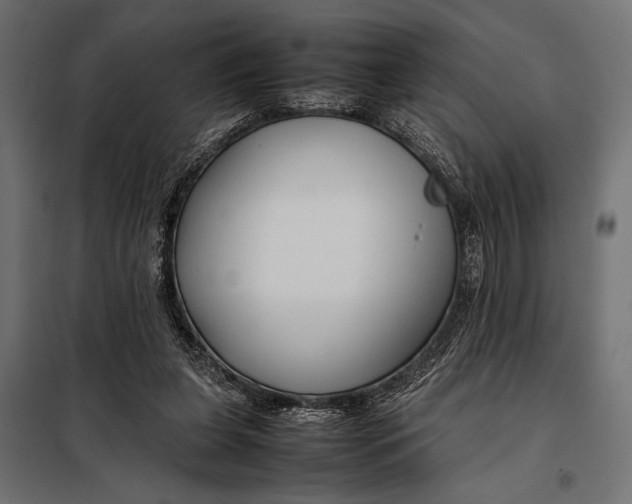 X0000098080255200804251520