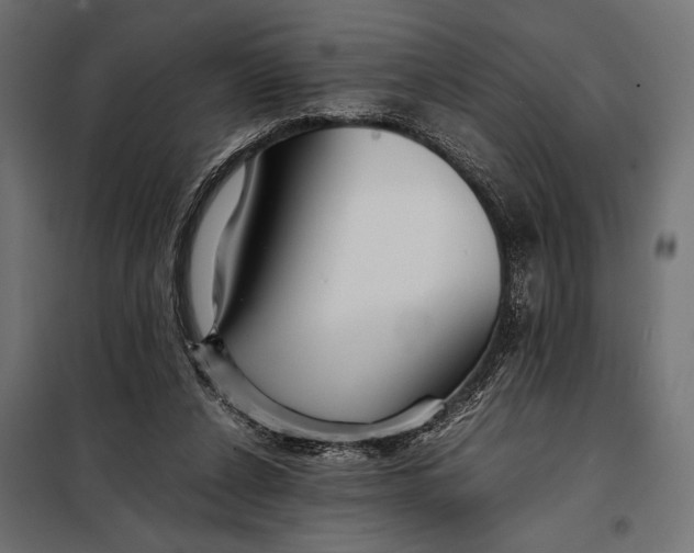 X0000098080256200804251520