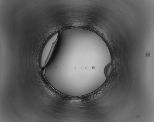 X0000098080257200804251520