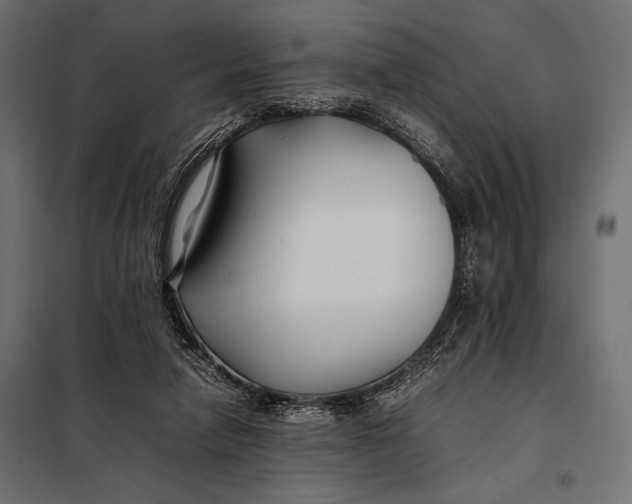 X0000098080258200804251520