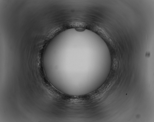 X0000098080259200804251520