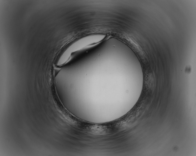 X0000098080261200804251520