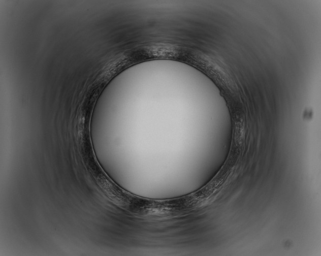 X0000098080263200804251520