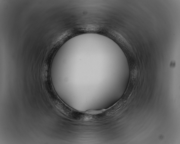 X0000098080264200804251520