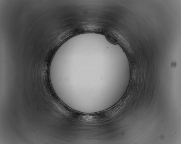 X0000098080265200804251520