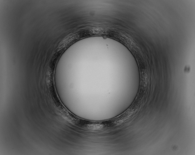 X0000098080266200804251520