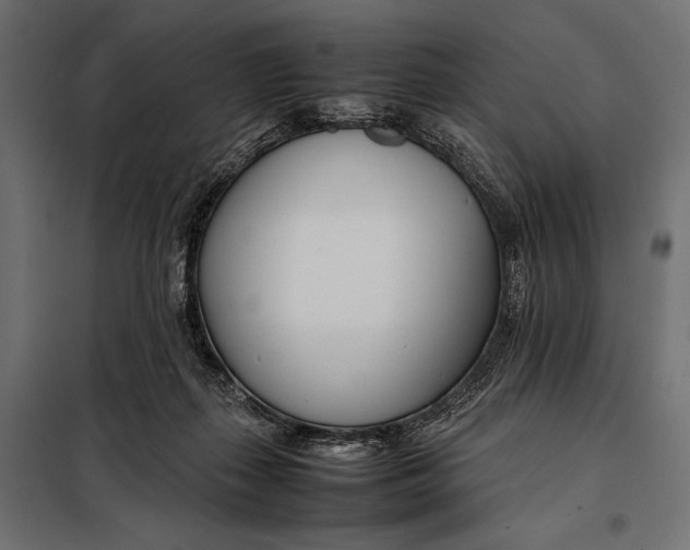 X0000098080267200804251520